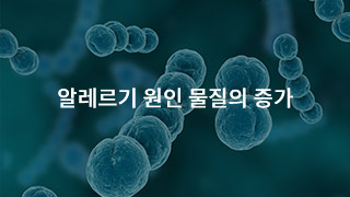 알레르기 원인 물질의 증가